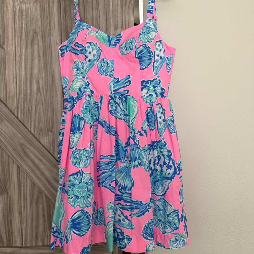 Pink and Blue  Dress